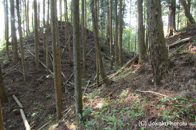 上野 岩下城の写真