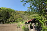 上野 岩下城の写真