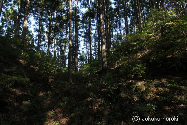 上野 鑰掛城の写真