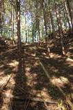 上野 鑰掛城の写真