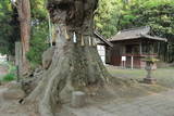 上野 寺屋敷の写真