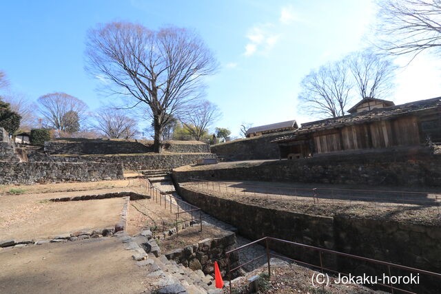 上野 金山城の写真