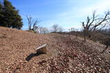 上野 金山城の写真