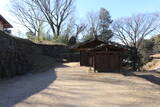 上野 金山城の写真