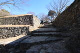 上野 金山城の写真