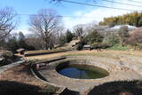 上野 金山城の写真