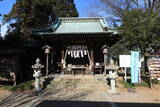 上野 金山城の写真