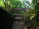 上野 金山城の写真