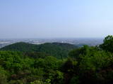 上野 金山城の写真