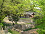 上野 金山城の写真