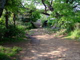 上野 金山城の写真