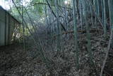 上野 神成城の写真