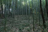 上野 神成城の写真