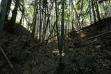 上野 神成城の写真