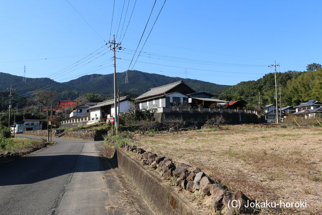 上野 蚊沼の内出の写真