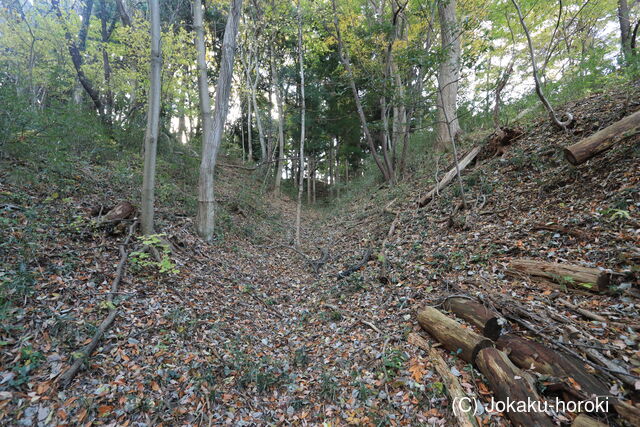 上野 勝保沢城の写真