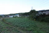 上野 内出城(東吾妻町)の写真