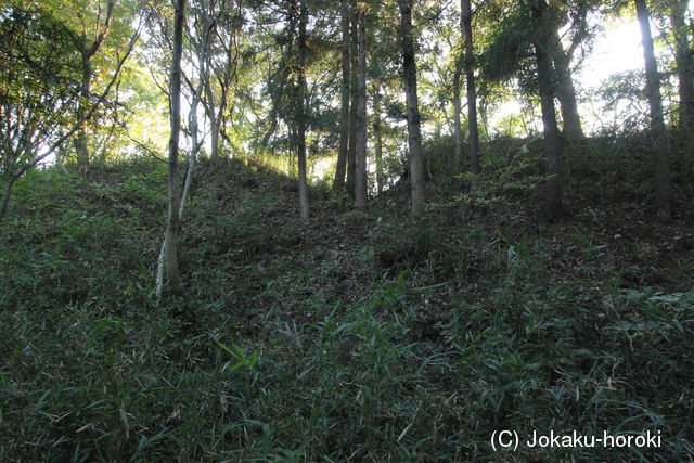 上野 雉郷城の写真