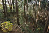 上野 桐生城の写真
