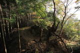 上野 桐生城の写真