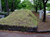 上野 小泉城の写真