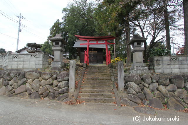 上野 駒寄の内出の写真