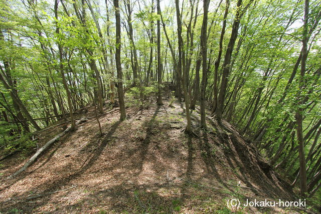 上野 高野平城の写真