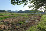 上野 国峯城の写真