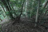 上野 国峯城の写真