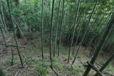 上野 国峯城の写真