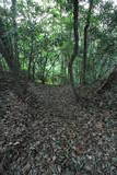 上野 国峯城の写真