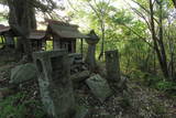 上野 国峯城の写真