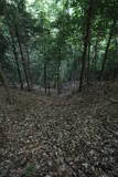 上野 国峯城の写真