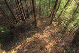 上野 国峯城の写真