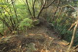 上野 国峯城の写真