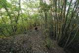 上野 国峯城の写真