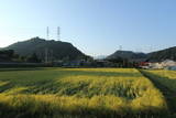 上野 桑田城の写真