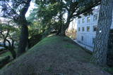 上野 前橋城の写真