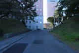 上野 前橋城の写真