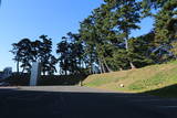 上野 前橋城の写真