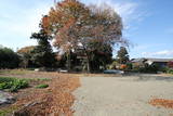 上野 馬庭城の写真