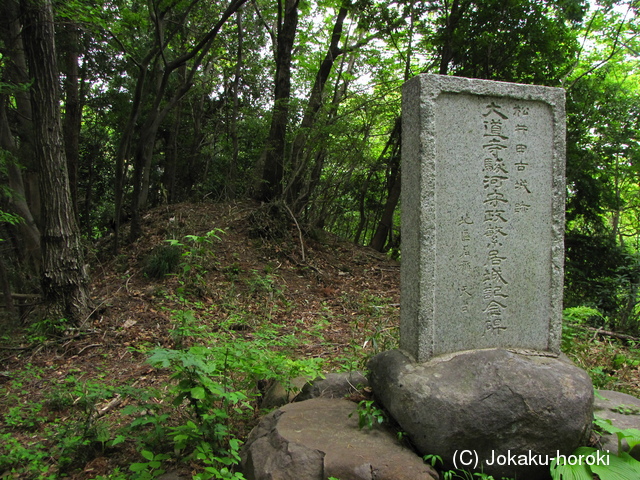 上野 松井田城の写真