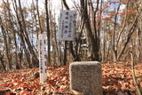 上野 味城山の砦の写真