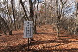 上野 味城山の砦の写真