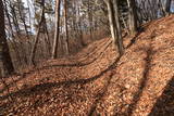 上野 味城山の砦の写真