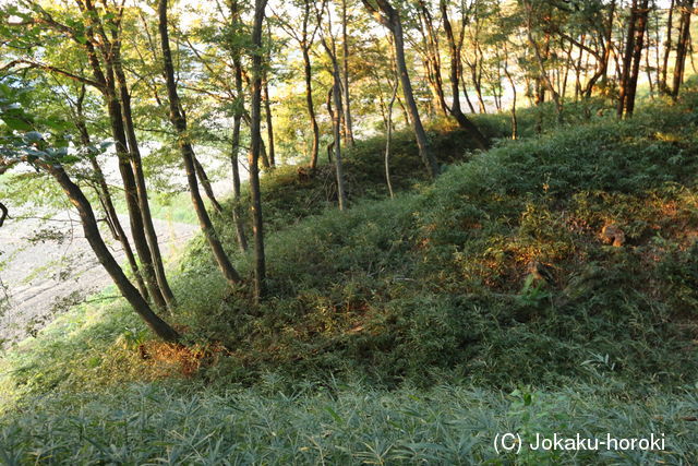 上野 嶺城の写真