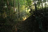 上野 嶺城の写真