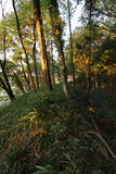 上野 嶺城の写真