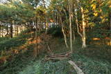 上野 嶺城の写真