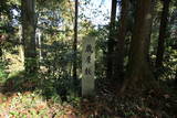 上野 箕輪城の写真